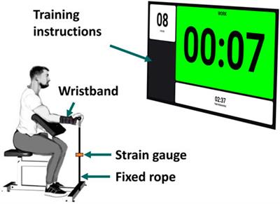 Four-compartment muscle fatigue model to predict metabolic inhibition and long-lasting nonmetabolic components